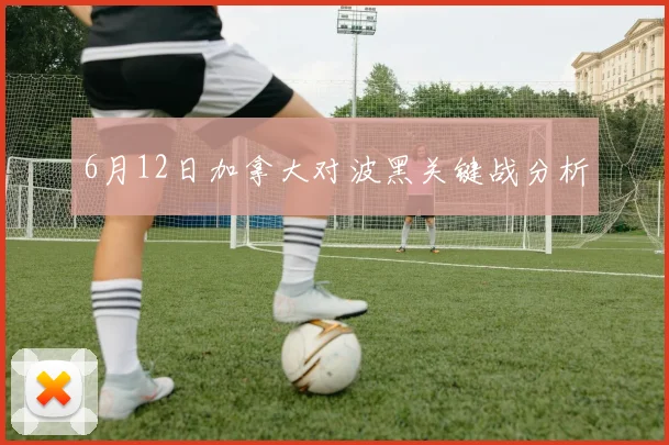 6月12日加拿大对波黑关键战分析