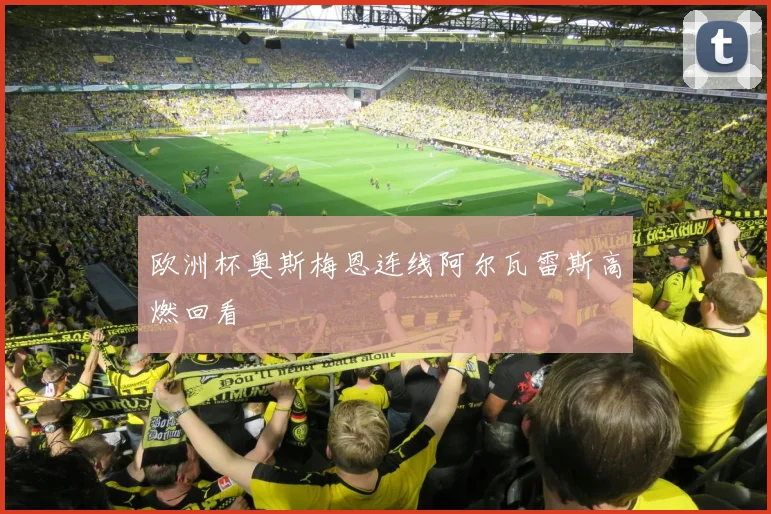 欧洲杯奥斯梅恩连线阿尔瓦雷斯高燃回看