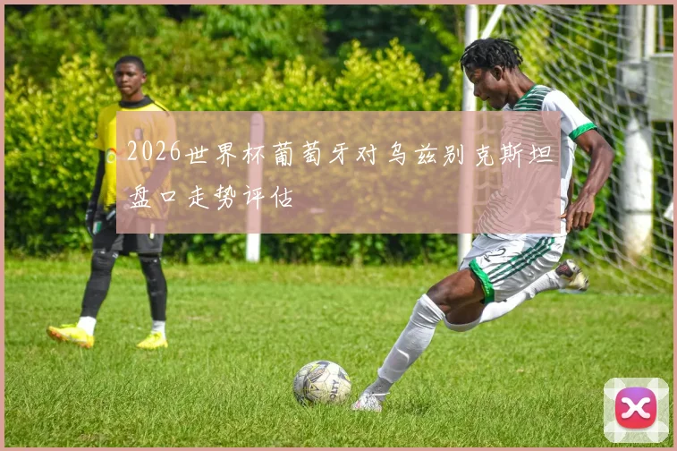 2026世界杯葡萄牙对乌兹别克斯坦盘口走势评估