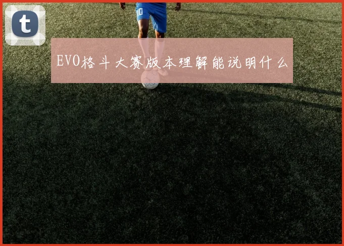 EVO格斗大赛版本理解能说明什么