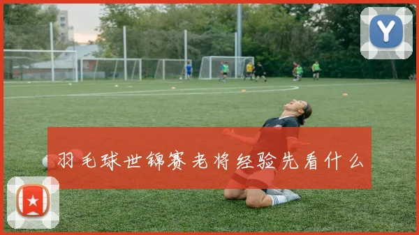 羽毛球世锦赛老将经验先看什么