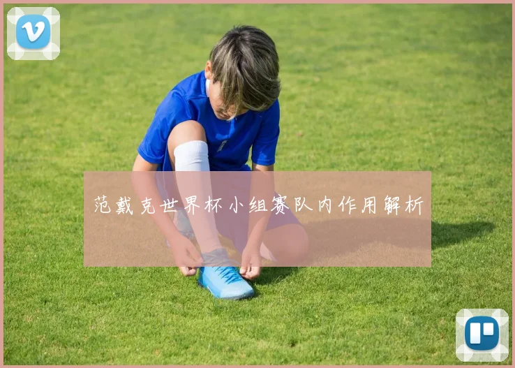 范戴克世界杯小组赛队内作用解析
