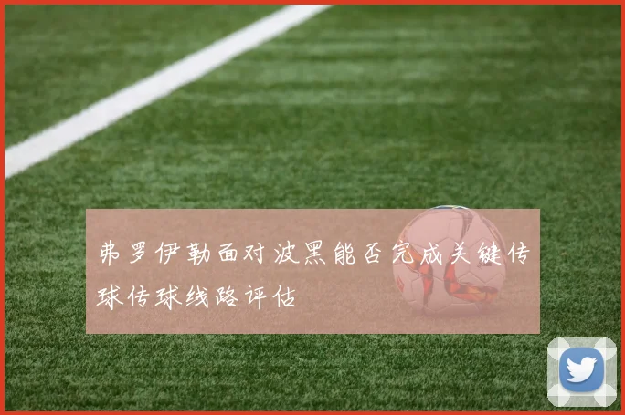 弗罗伊勒面对波黑能否完成关键传球传球线路评估