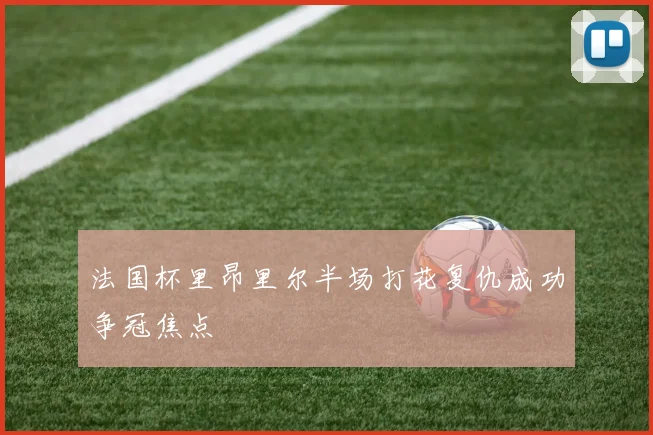法国杯里昂里尔半场打花复仇成功争冠焦点