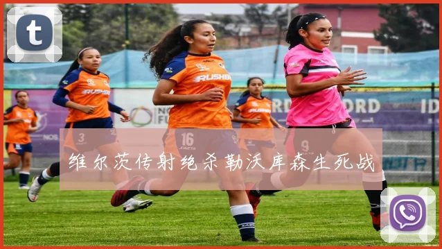 维尔茨传射绝杀勒沃库森生死战